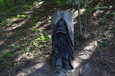 Ormanda oluşturulan oyma şekil