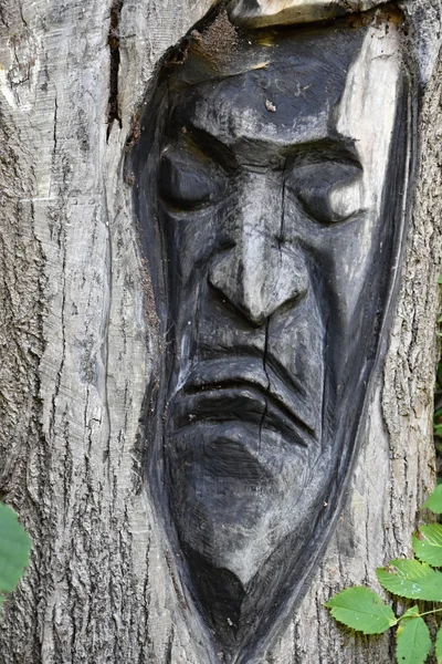 Cara esculpida em uma árvore — Fotografia de Stock
