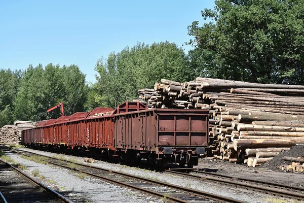 Tren istasyonunda ahşap günlükleri stokunun