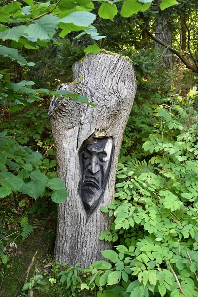 Face carved in wood