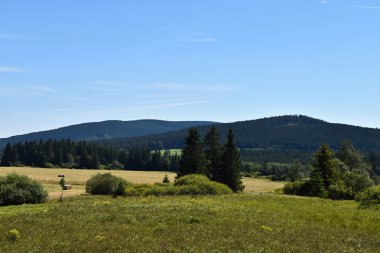 Yaz aylarında güzel dağ manzarası