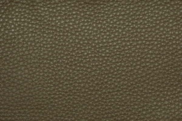 Texture in pelle verde sfondo granulato — Foto Stock