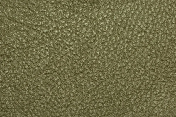 Textura de couro verde fundo granulado — Fotografia de Stock