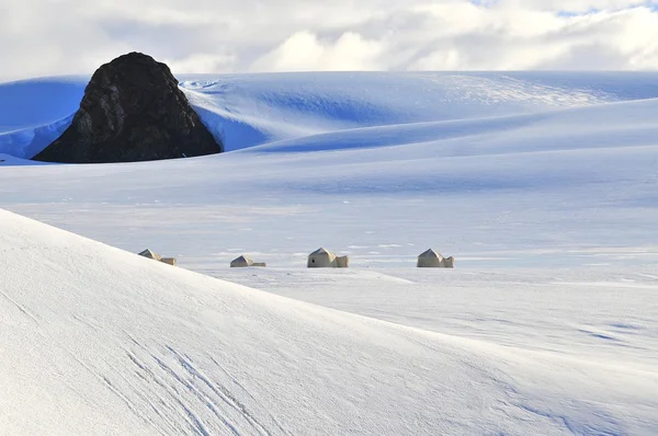 Buz Schirmacher Oasis