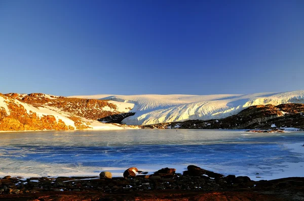 Oásis Schirmacher, Antártida — Fotografia de Stock