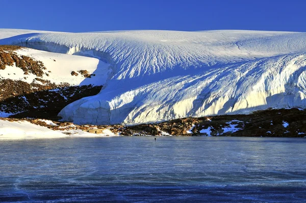 Schirmacher Oasis, Antarktika