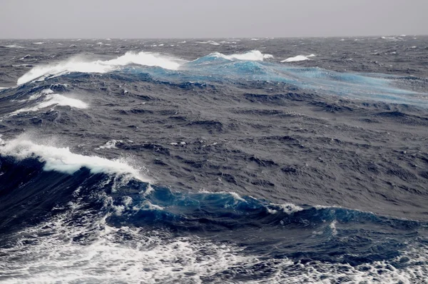 Heyecan verici Drake Passage