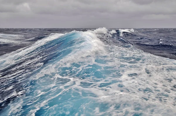 Heyecan verici Drake Passage