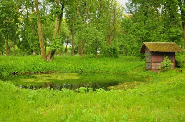 İki aşamalı su birikintisi içinde bir Şehir Parkı