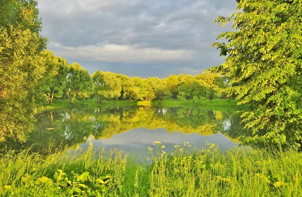 İki aşamalı su birikintisi içinde bir Şehir Parkı