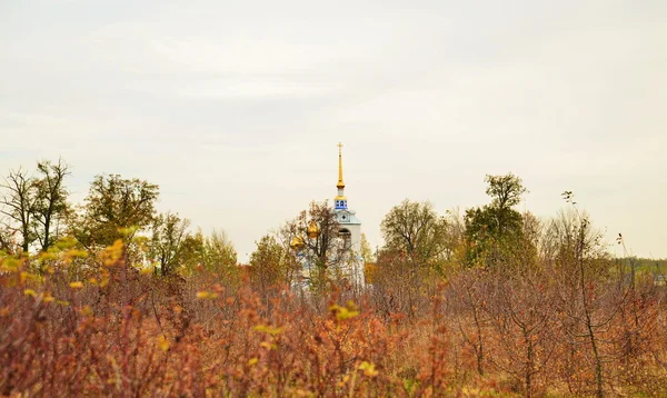 Başkalaşım kilise Starozhilovo İlçe