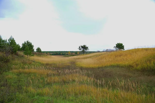 Field Hollow dans le comté de Putyatinskom. Russie — Photo