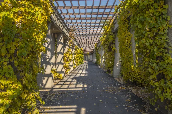 Pérgola en Wroclaw, Polonia — Foto de Stock