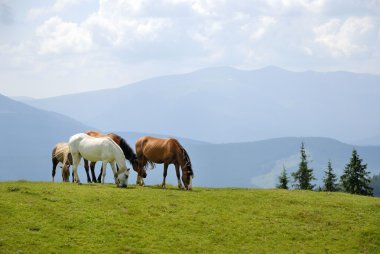 Dağların ortasında