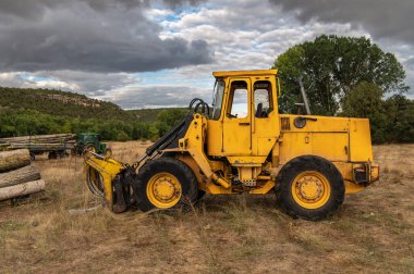 Ormancılık operasyonunda kütükleri taşımak için uğraşan bir kazıcı.