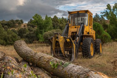 Ormancılık operasyonunda kütükleri taşımak için uğraşan bir kazıcı.