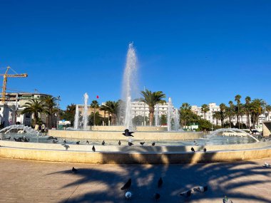 Casablanca, Fas 'ta açık mavi gökyüzünün altında palmiye ağaçlarıyla çevrili büyük bir halk çeşmesinin etrafında toplanan güvercinler.