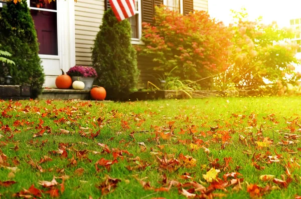 家の近くに鮮やかな紅葉が見られる緑の芝生と 奥のポーチに秋の花が咲くカボチャ — ストック写真