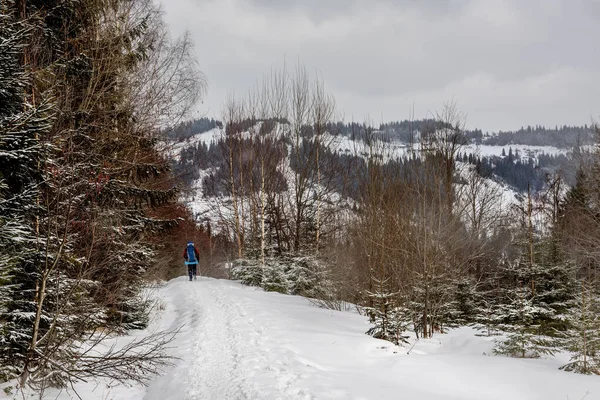Зимовий Гірський Пейзаж Турист Рюкзаком Йде Відстань Вздовж Дороги Серед — стокове фото