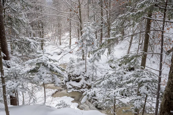 Winter Landscape Small River Flowing Winter Forest — Stock Photo, Image