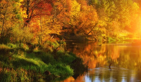 Sunny autumn day on the river and many yellow trees along the banks. autumn day in nature with beautiful weather.