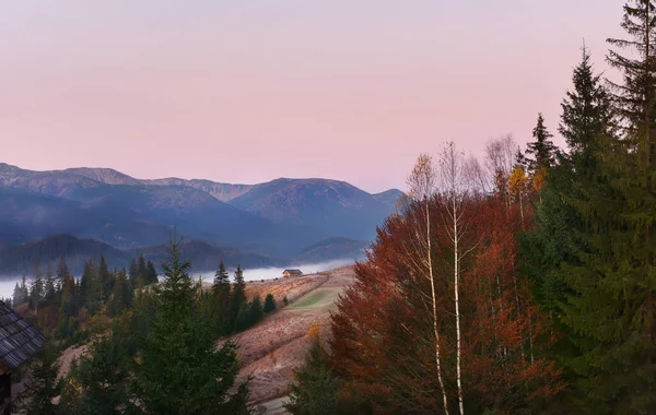 Early morning in the autumn mountains. Small rural house on a mountainside in the distance, pink dawn sky and bright autumn trees. Calm of the morning in the mountains.