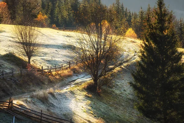 Drum Murdar Zona Muntoasă Gardul Lemn Lungul Drumului Rural Copacii — Fotografie, imagine de stoc