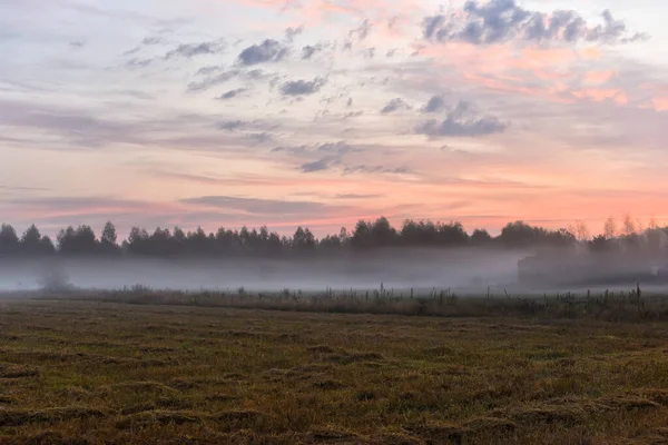 Early Gentle Morning Fields Harvest Mown Grass Fog Field — Stock Photo, Image