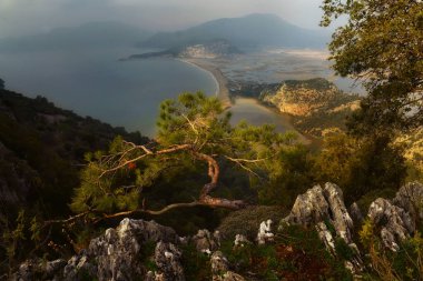 Ege kıyısındaki kayalık bir tepeden manzaralı. Kaplumbağa Sahili. Türkiye.