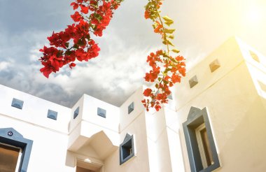 Güneşli bir günde mavi pencereli sıcak beyaz evler. Bodrum. Türkiye.