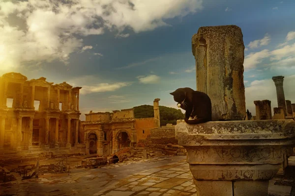 Antica Città Efes Gatto Nero Siede Colonne Antiche Sullo Sfondo — Foto Stock