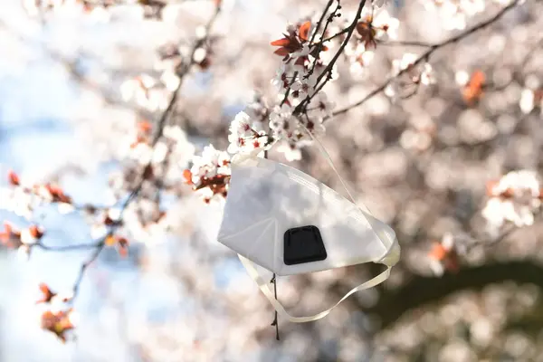 春の庭に咲く桜の枝に医療用マスクを保護する — ストック写真