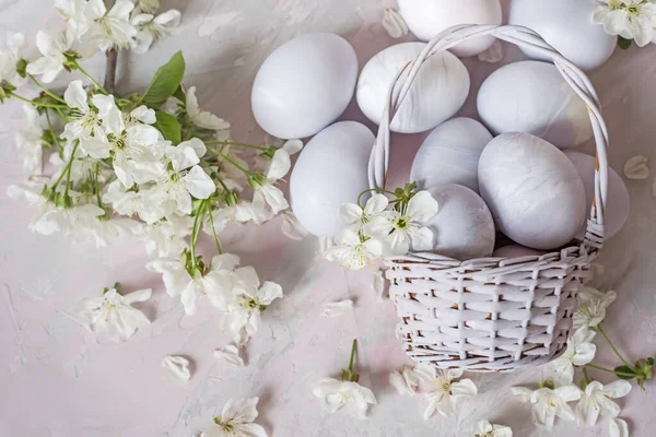 Kosz Malowanymi Jajkami Białymi Kwiatami Wiśni Jasnym Tle Wielkanoc Martwa — Zdjęcie stockowe