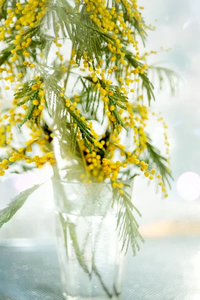 Blumenstrauß Aus Mimosen Sehr Leicht Verschwommenes Foto Künstlerisches Foto Stil — Stockfoto