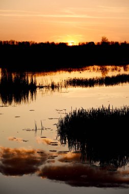 Ormandaki tenha bir gölde gün batımı. Gökyüzünün güzel manzarası ve suya yansıyan kırmızı bulutlar..