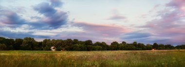 Gün batımında çiçek açan bir tarlanın kenarındaki ormanın vahşi doğasındaki kırsal evlerin panoramik fotoğrafı. Güzel, kireçli bir yaz akşamı manzarası.