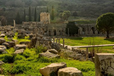 Efes antik kenti. Hindi. Türkiye 'nin Efes antik kenti 