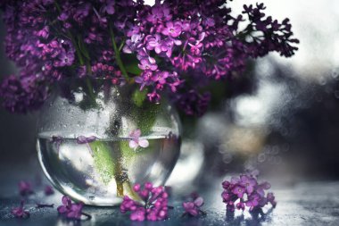 Şeffaf bir vazoda bir buket leylak. Işıl ışıl parlayan, seçici bir odak noktası olan sanatsal bir fotoğraf. Sanatsal bir fikir için sığ bir alan. Bahar buketi.