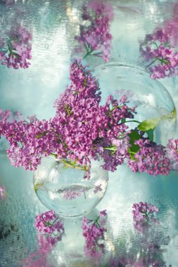 Şeffaf bir vazoda bir buket leylak. Işıl ışıl parlayan, seçici bir odak noktası olan sanatsal bir fotoğraf. Sanatsal bir fikir için sığ bir alan. Bahar buketi.