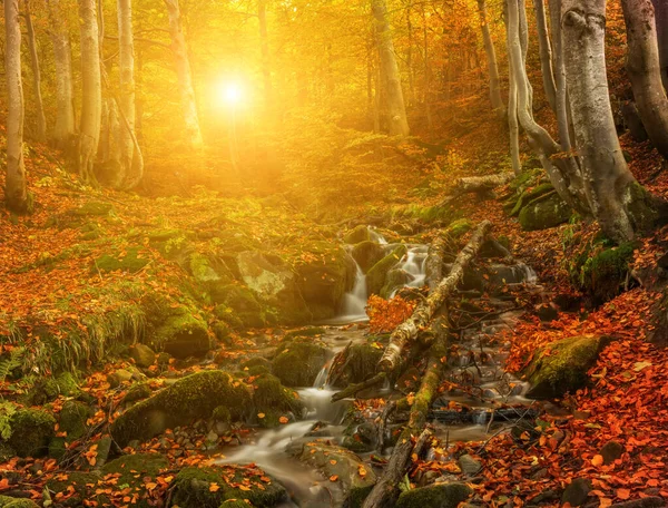 Small Stream Waterfall Stones Bright Autumn Beech Forest Long Exposure — Stock fotografie