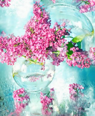 Şeffaf bir vazoda bir buket leylak. Işıl ışıl parlayan, seçici bir odak noktası olan sanatsal bir fotoğraf. Sanatsal bir fikir için sığ bir alan. Bahar buketi.