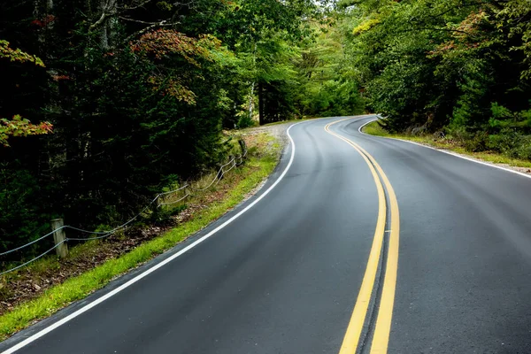 Ormanda Dolambaçlı Dar Bir Asfalt Yol — Stok fotoğraf