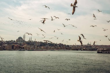 İstanbul Boğazı 'nın ve İstanbul' un manzarası. Suyun üzerinde gökyüzünde birçok martı kuşu var. İstanbul. Türkiye 