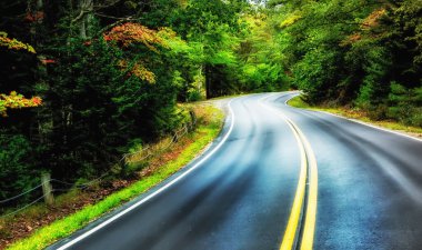 Ormanda dolambaçlı dar bir asfalt yol. Sığ alan derinliği, 