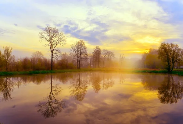 Tidig Dimmig Morgon Vid Dammen Reflektion Träd Vattnet Vårmorgon — Stockfoto