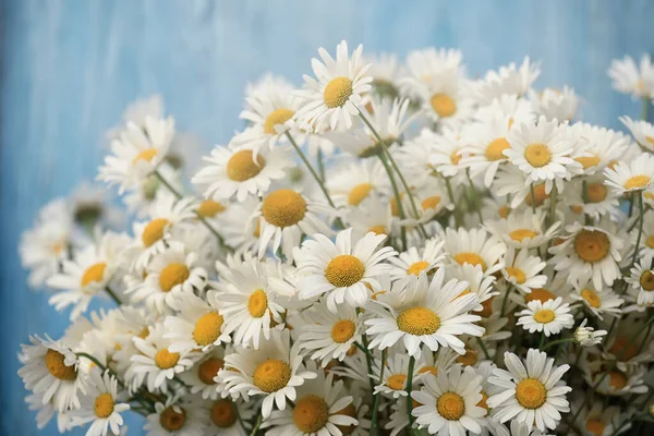 Kamillenblüten Auf Blauem Holzgrund Sommerstimmung — Stockfoto