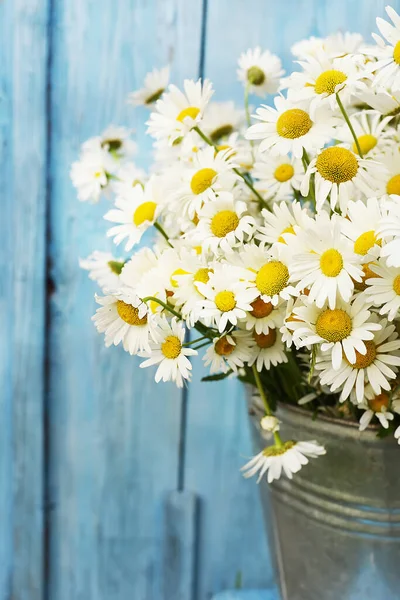 Kamillenblüten Auf Blauem Holzgrund Sommerstimmung — Stockfoto