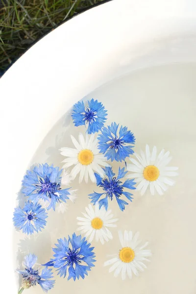 Wasserbad Mit Kamille Und Kornblumen Freude Den Kleinen Dingen Ein — Stockfoto