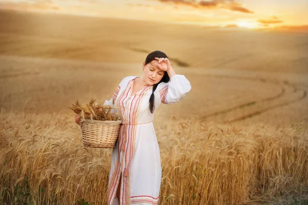 Flicka Broderad Traditionell Klänning Ett Gult Vetefält Vid Solnedgången Traditionella — Stockfoto