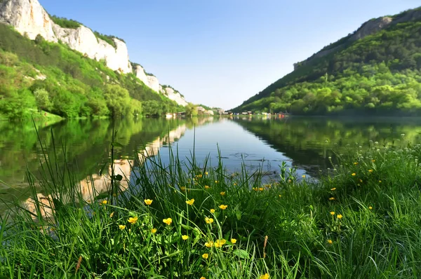 Прекрасний Вид Озеро Літній День Пишні Квіти Озері Горах — стокове фото